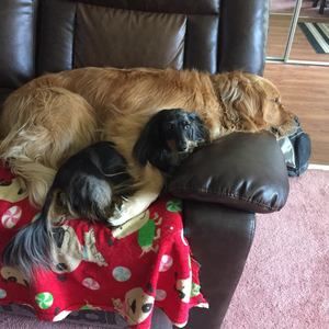 Meet your Posher, Chantelle